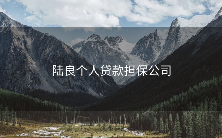 陆良个人贷款担保公司