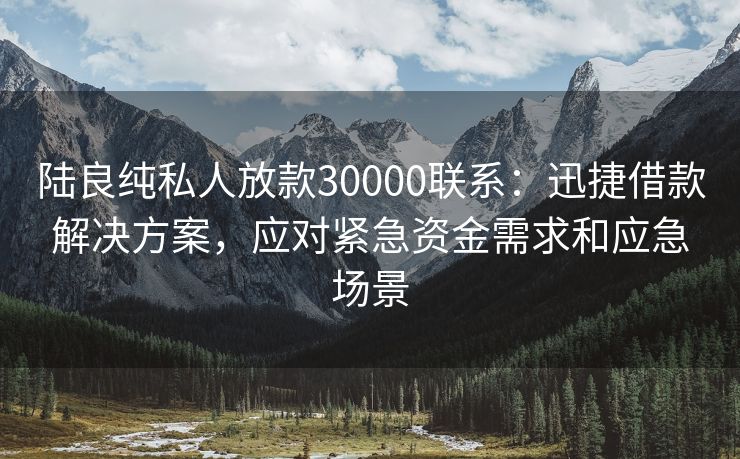 陆良纯私人放款30000联系：迅捷借款解决方案，应对紧急资金需求和应急场景