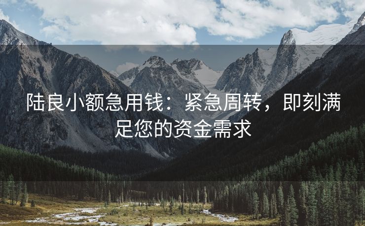 陆良小额急用钱：紧急周转，即刻满足您的资金需求