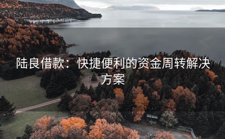 陆良借款：快捷便利的资金周转解决方案
