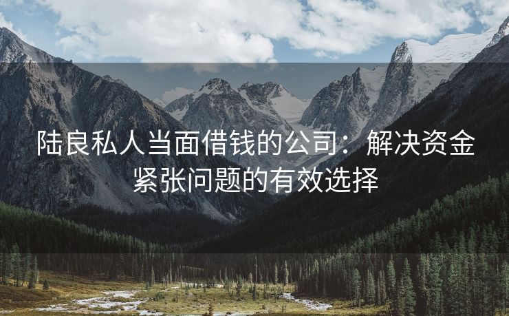 陆良私人当面借钱的公司：解决资金紧张问题的有效选择