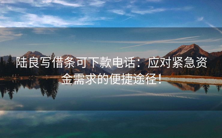 陆良写借条可下款电话：应对紧急资金需求的便捷途径！