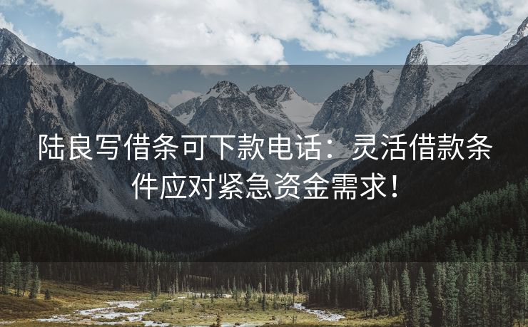 陆良写借条可下款电话：灵活借款条件应对紧急资金需求！