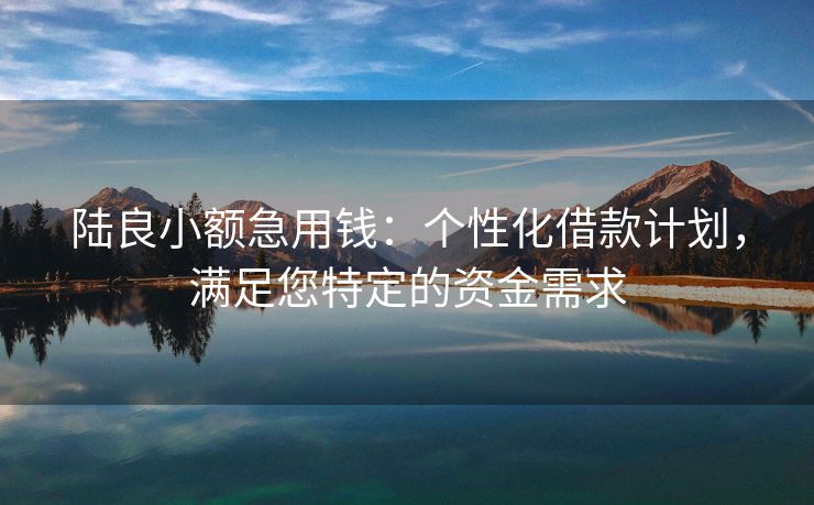 陆良小额急用钱：个性化借款计划，满足您特定的资金需求