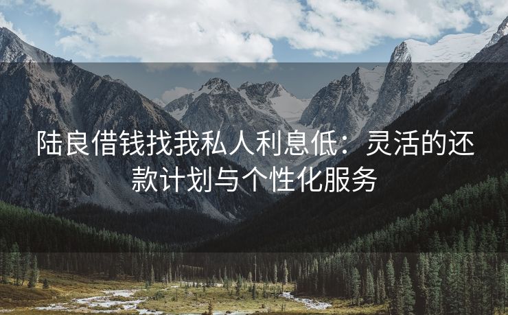 陆良借钱找我私人利息低：灵活的还款计划与个性化服务