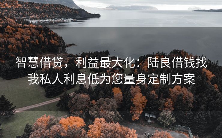 智慧借贷，利益最大化：陆良借钱找我私人利息低为您量身定制方案