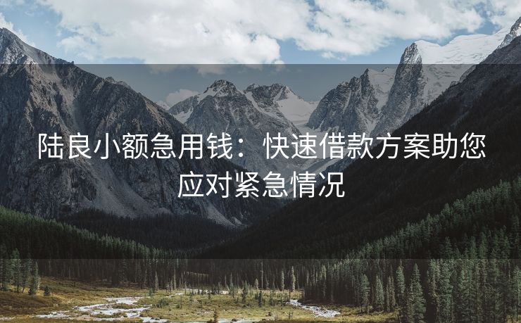 陆良小额急用钱：快速借款方案助您应对紧急情况