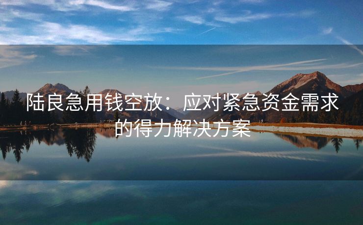 陆良急用钱空放：应对紧急资金需求的得力解决方案