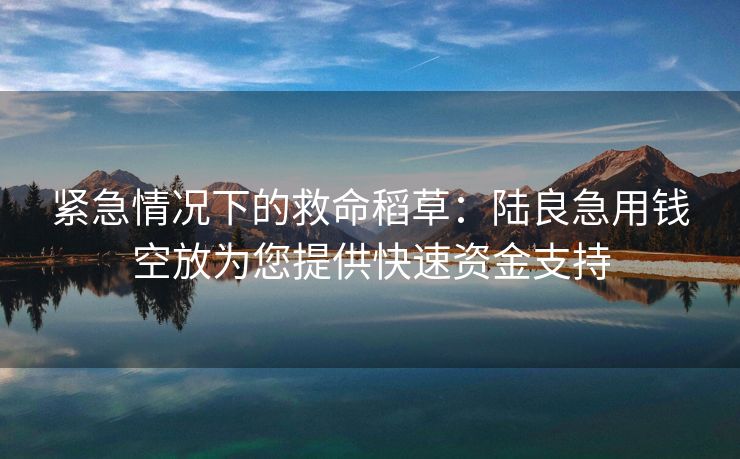 紧急情况下的救命稻草：陆良急用钱空放为您提供快速资金支持