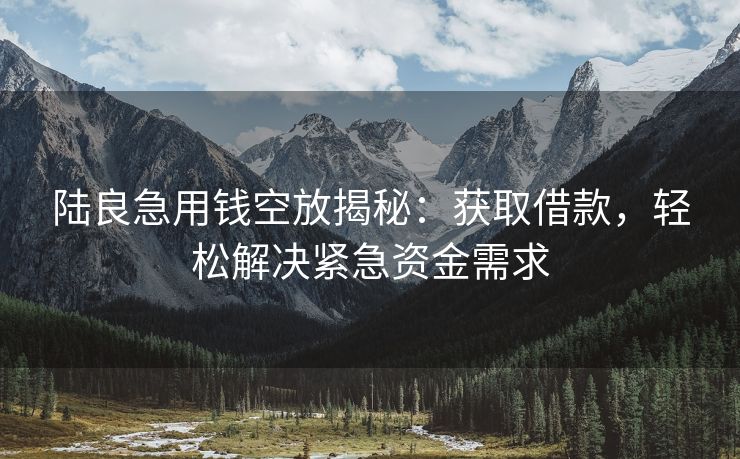 陆良急用钱空放揭秘：获取借款，轻松解决紧急资金需求