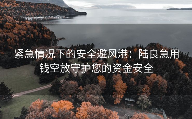 紧急情况下的安全避风港：陆良急用钱空放守护您的资金安全