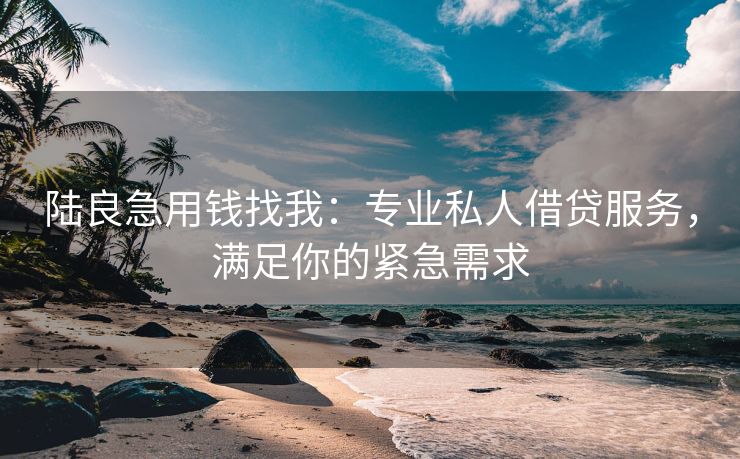 陆良急用钱找我：专业私人借贷服务，满足你的紧急需求
