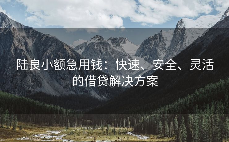 陆良小额急用钱：快速、安全、灵活的借贷解决方案