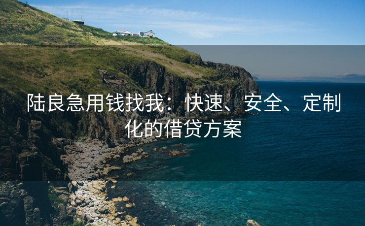 陆良急用钱找我：快速、安全、定制化的借贷方案