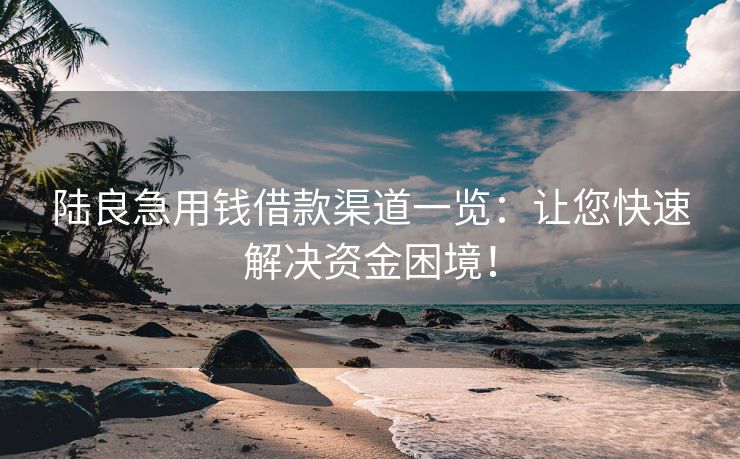 陆良急用钱借款渠道一览：让您快速解决资金困境！
