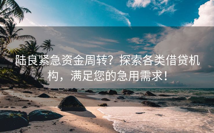 陆良紧急资金周转？探索各类借贷机构，满足您的急用需求！