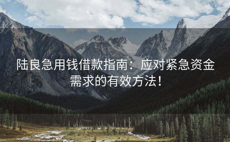 陆良急用钱借款指南：应对紧急资金需求的有效方法！