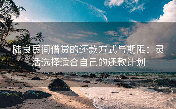 陆良民间借贷的还款方式与期限：灵活选择适合自己的还款计划