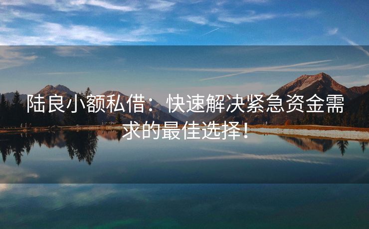 陆良小额私借：快速解决紧急资金需求的最佳选择！