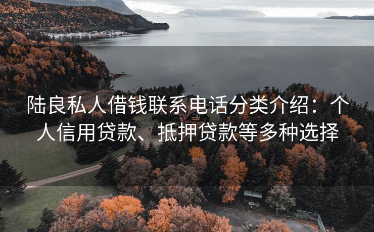 陆良私人借钱联系电话分类介绍：个人信用贷款、抵押贷款等多种选择