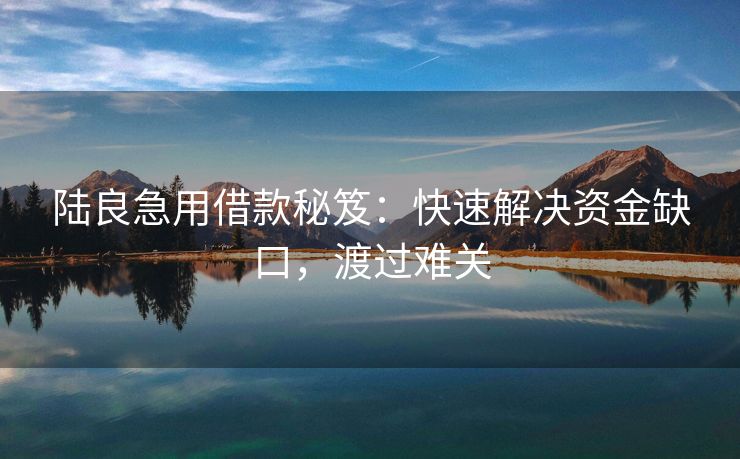陆良急用借款秘笈：快速解决资金缺口，渡过难关