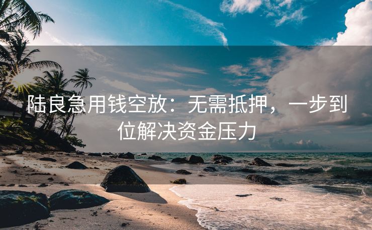 陆良急用钱空放：无需抵押，一步到位解决资金压力