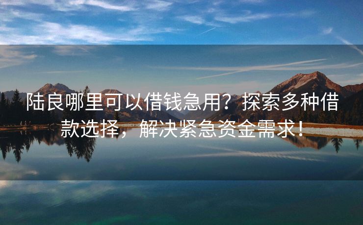 陆良哪里可以借钱急用？探索多种借款选择，解决紧急资金需求！