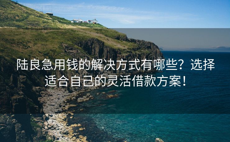陆良急用钱的解决方式有哪些？选择适合自己的灵活借款方案！