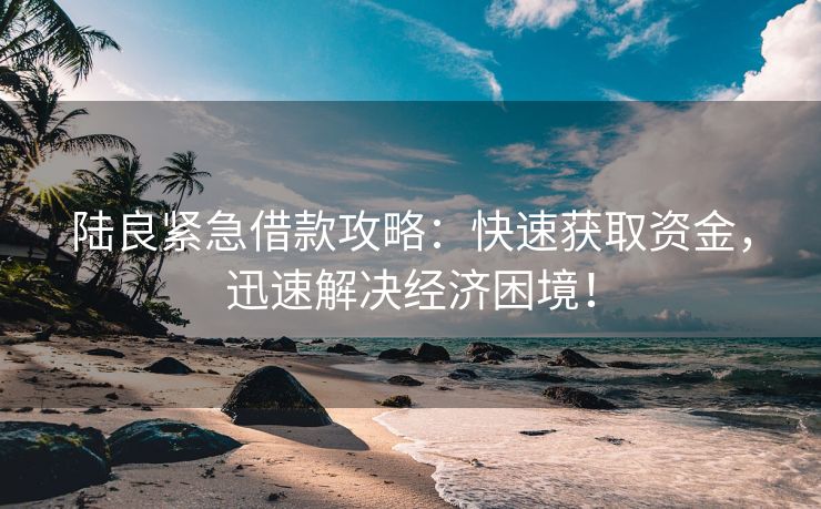 陆良紧急借款攻略：快速获取资金，迅速解决经济困境！