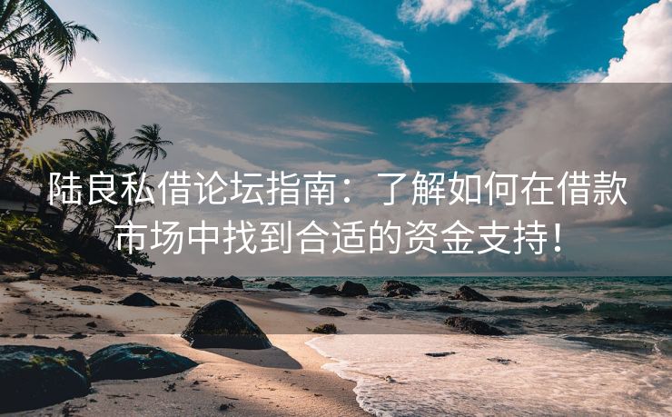 陆良私借论坛指南：了解如何在借款市场中找到合适的资金支持！