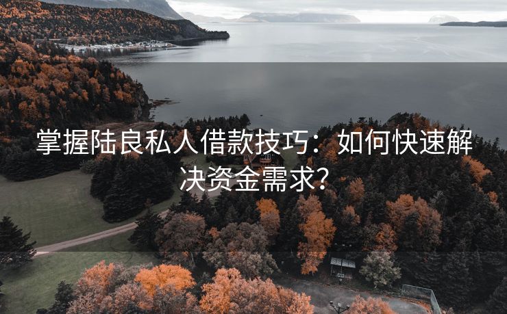 掌握陆良私人借款技巧：如何快速解决资金需求？