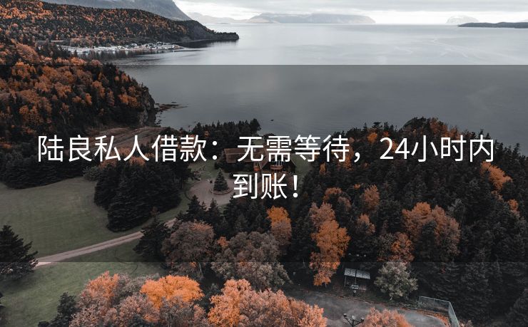 陆良私人借款：无需等待，24小时内到账！