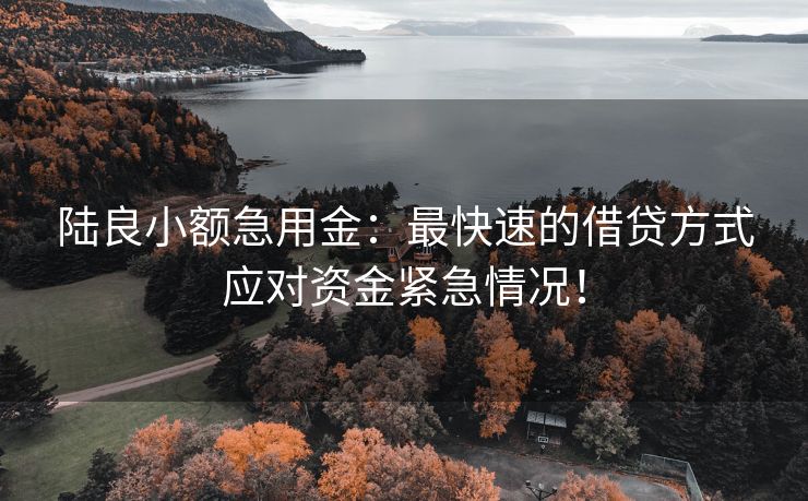 陆良小额急用金：最快速的借贷方式应对资金紧急情况！