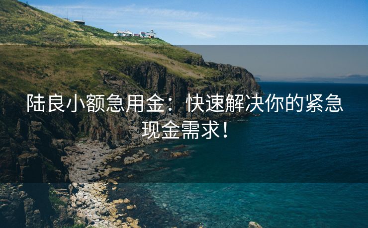 陆良小额急用金：快速解决你的紧急现金需求！