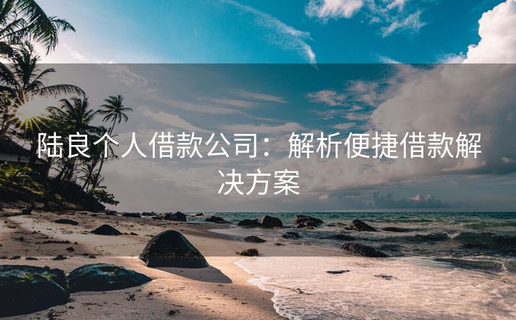 陆良个人借款公司：解析便捷借款解决方案