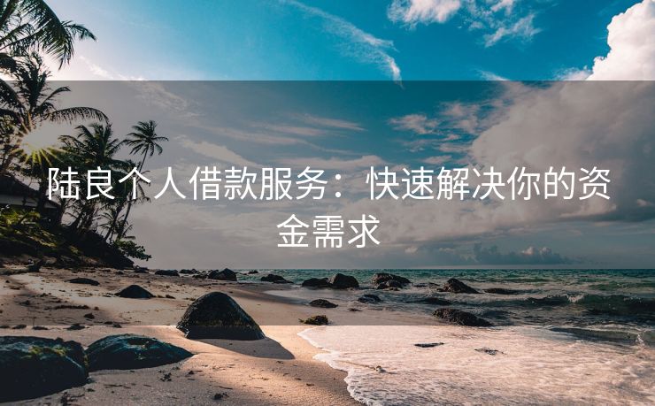 陆良个人借款服务：快速解决你的资金需求