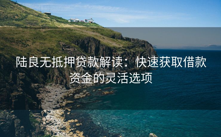 陆良无抵押贷款解读：快速获取借款资金的灵活选项
