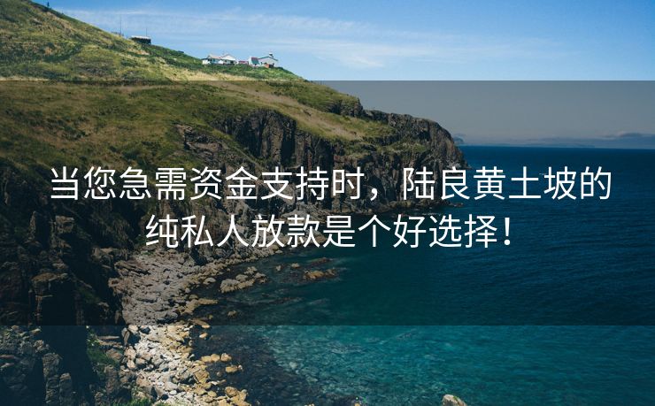 当您急需资金支持时，陆良黄土坡的纯私人放款是个好选择！