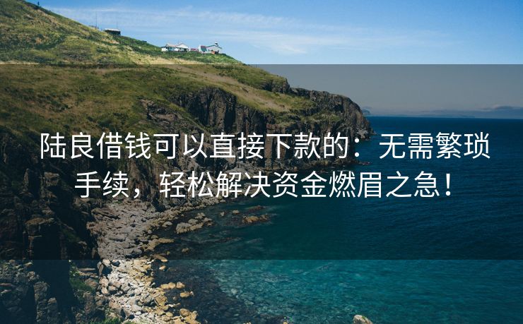  陆良借钱可以直接下款的：无需繁琐手续，轻松解决资金燃眉之急！