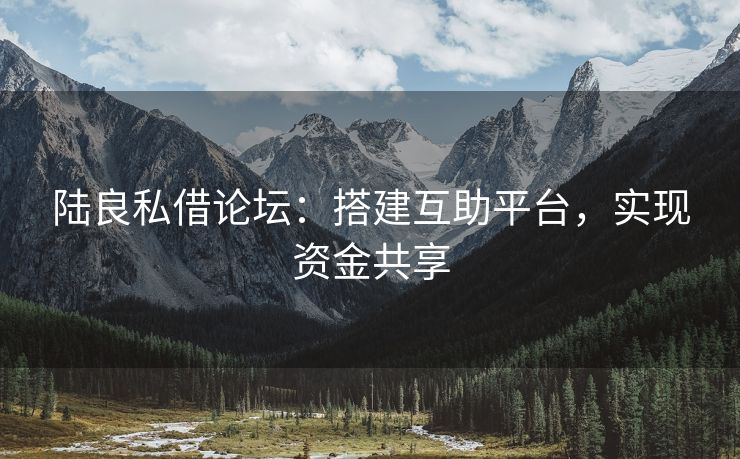 陆良私借论坛：搭建互助平台，实现资金共享