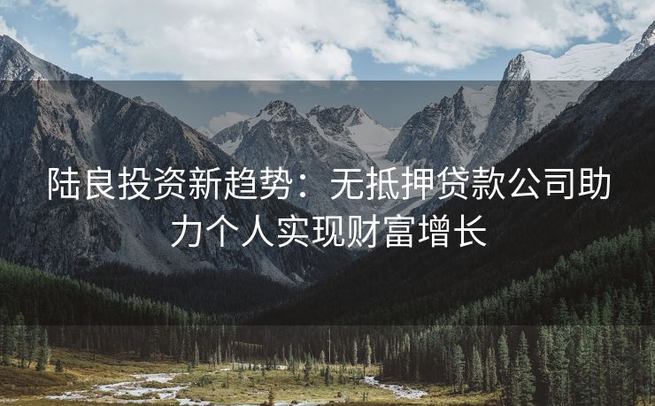 陆良投资新趋势：无抵押贷款公司助力个人实现财富增长