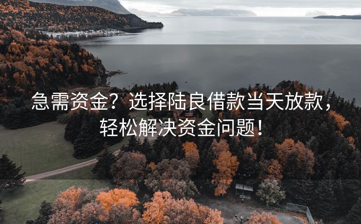 急需资金？选择陆良借款当天放款，轻松解决资金问题！