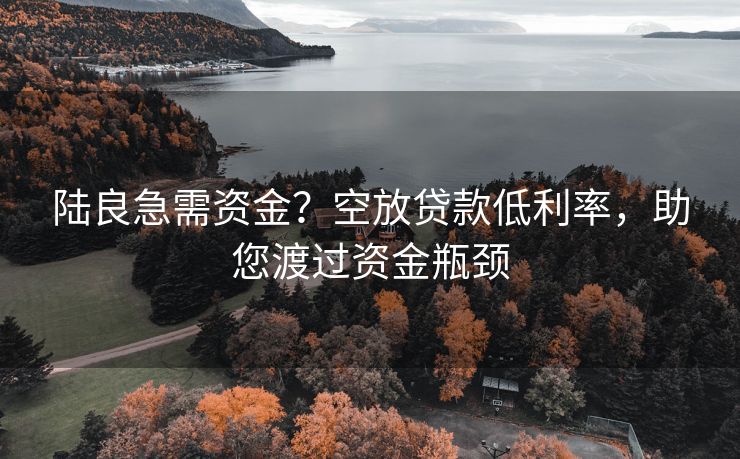 陆良急需资金？空放贷款低利率，助您渡过资金瓶颈
