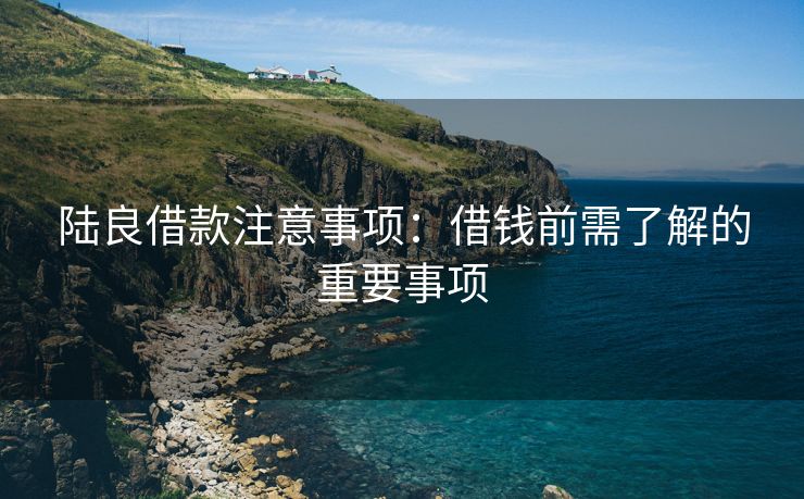 陆良借款注意事项：借钱前需了解的重要事项