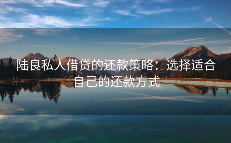 陆良私人借贷的还款策略：选择适合自己的还款方式