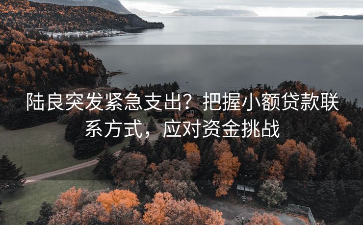 陆良突发紧急支出？把握小额贷款联系方式，应对资金挑战