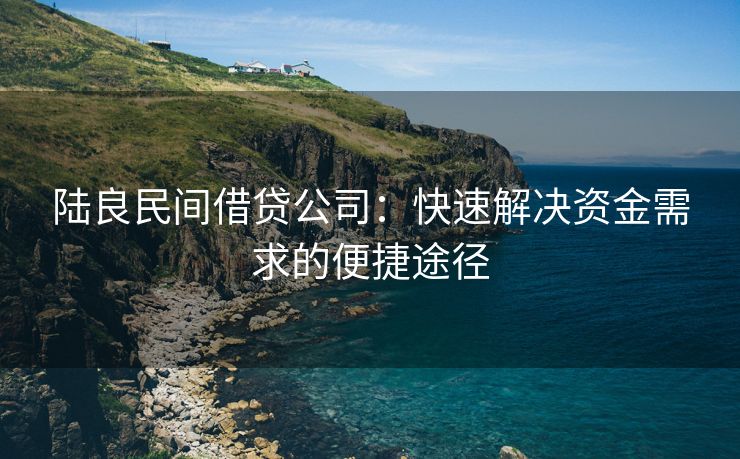 陆良民间借贷公司：快速解决资金需求的便捷途径