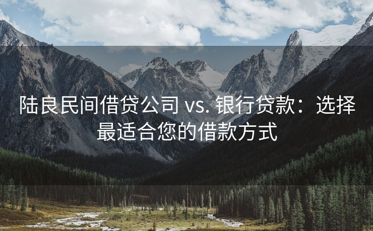 陆良民间借贷公司 vs. 银行贷款：选择最适合您的借款方式