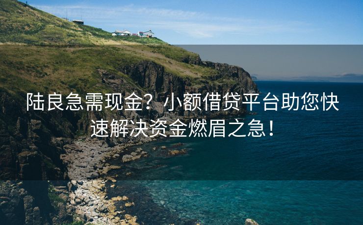 陆良急需现金？小额借贷平台助您快速解决资金燃眉之急！