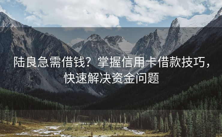 陆良急需借钱？掌握信用卡借款技巧，快速解决资金问题